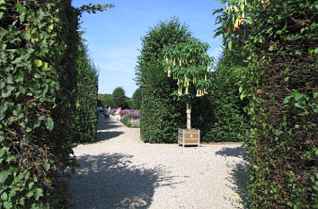 Heckengarten im Großen Garten