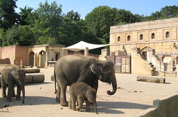 Dschungelpalast im Zoo Hannover