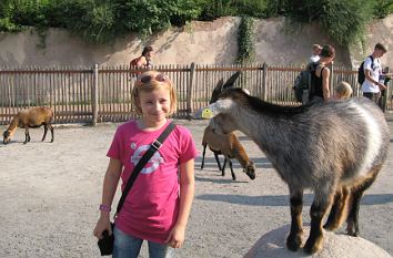 Streichelzoo im Zoo Hannover