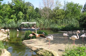 Bootsfahrt durch Afrika im Zoo Hannover