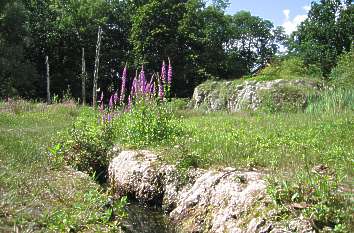 Wassergraben am Kalkberg