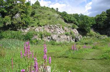 Felsen am Kalkberg