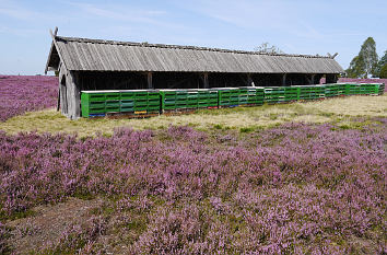 Imkerei in der Lüneburger Heide