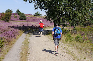 Wanderung in der Lüneburger Heide