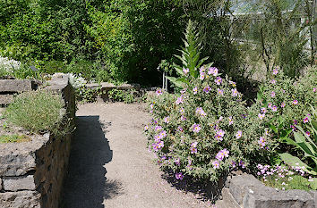 Botanischer Garten in Oldenburg