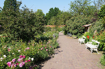 Rosen und Bänke im Schlossgarten Oldenburg