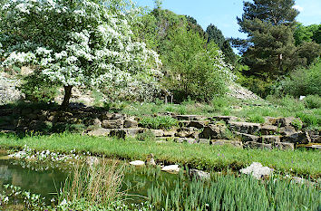 Botanischer Garten Osnabrück