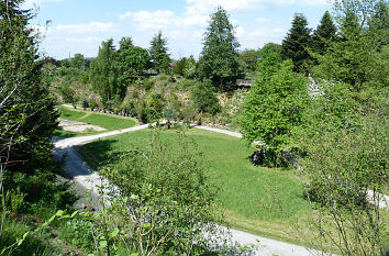 Schlucht im Botanischen Garten Osnabrück