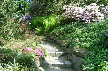 Rhododendrongarten im Botanischen Garten Osnabrück