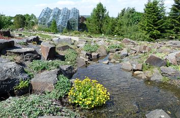 Steingarten Botanischer Garten Osnabrück