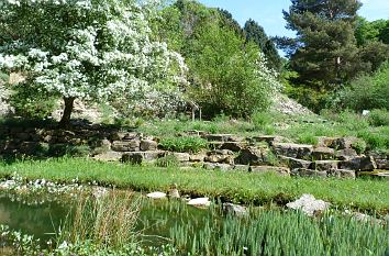 Blühende Landschaft Botanischer Garten Osnabrück