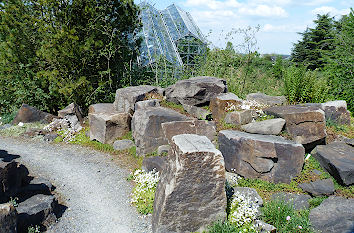 Botanischer Garten Osnabrück