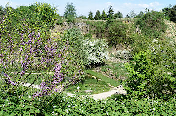 Botanischer Garten Osnabrück