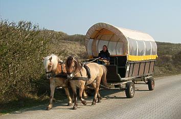 Pferdefuhrwerk auf der Nordseeinsel Juist