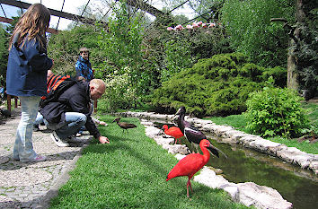 Weltvogelpark Walsrode