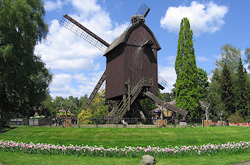 Vogelpark Walsrodeer Rathaus