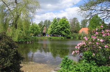 Kranichsee im Vogelpark Walsrode