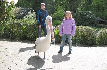 Weltvogelpark Walsrode