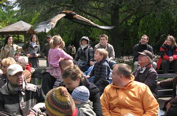 Flugshow im Vogelpark Walsrode