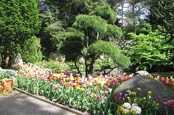 Japanischer Garten im Vogelpark Walsrode