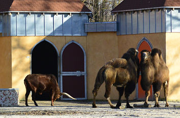 Tierpark Aachen