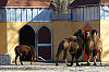 Tierpark Aachen