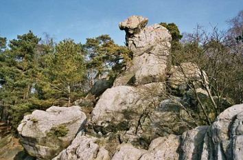 Dörenther Klippen Teutoburger Wald "Hockendes Weib"