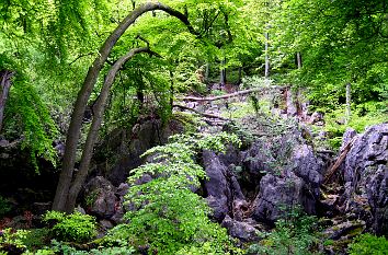 Felsen und unberührte Natur