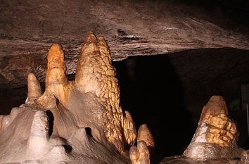 Stalagmiten Heinrichshöhle