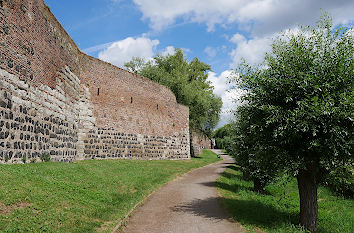 Stadtmauer Feste Zons