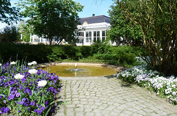 Blumen im Kurpark Bad Salzuflen