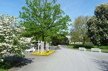 Blütenpracht im Kurpark Bad Salzuflen