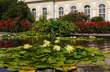 Botanischer Garten am Poppelsdorfer Schloss