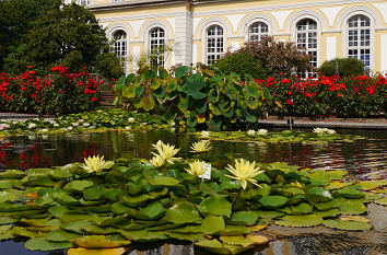 Quermania Bonn Poppelsdorfer Schloss Botanischer Garten Botanische Garten Mineralogisches Museum