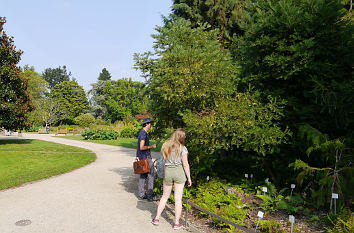 Wanderweg im Botanischen Garten Bonn