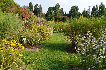 Staudengarten am Poppelsdorfer Schloss