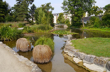 Teiche im Botanischen Garten Bonn