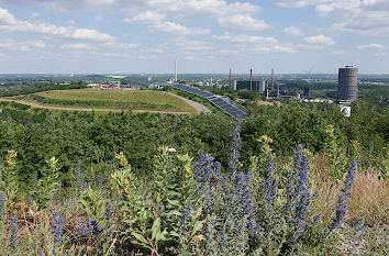 Blick von der Halde Beckstraße in Bottrop