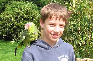 Vogelpark Detmold: Papagei auf Schulter
