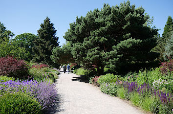 Rombergpark in Dortmund