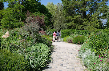 Rombergpark in Dortmund