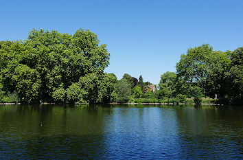 Großer Teich Rombergpark Dortmund