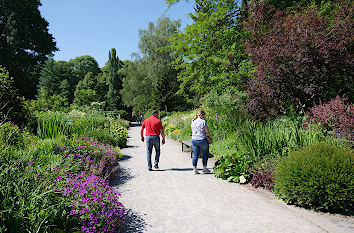 Staudengarten im Botanischen Garten Dortmund