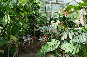 Im Pflanzenschauhaus Botanischer Garten Dortmund