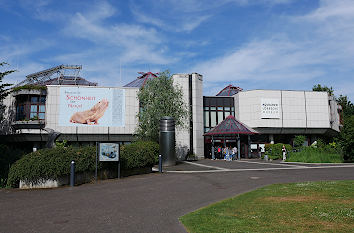 Aquazoo-Löbbecke Museum Düsseldorf