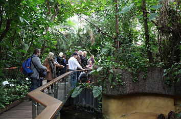 Tropenhalle im Aquazoo-Löbbecke Museum Düsseldorf