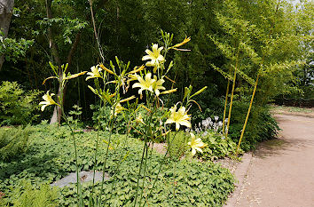 Botanischer Garten Düsseldorf