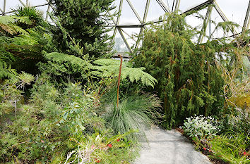 Subtropische Pflanzen im Botanischen Garten Düsseldorf