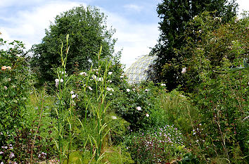 Botanischer Garten Düsseldorf