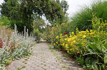 Blumenpracht Botanischer Garten Düsseldorf